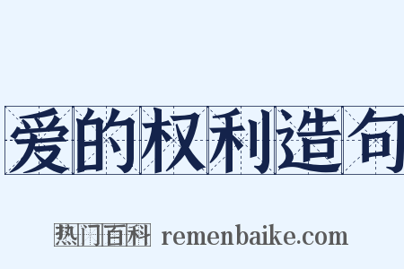 爱的权利造句是什么意思的图片